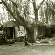 Rutin - 20 éves tapasztalat, 140 000 munkahenger